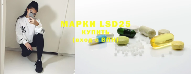 ПСИЛОЦИБИНОВЫЕ ГРИБЫ Осташков
