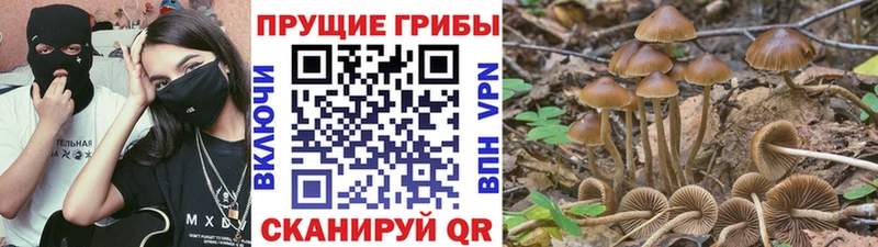 Галлюциногенные грибы мухоморы блэк спрут как зайти Инза