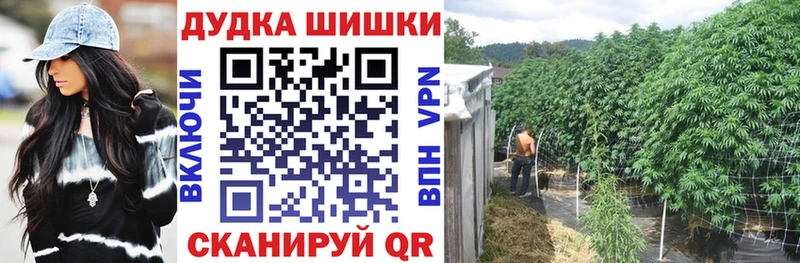 Бошки Шишки Ganja  наркотики  Инза 